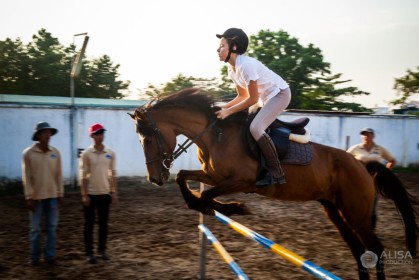 Horse Jumping Competition