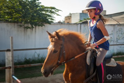Horse Jumping Competition