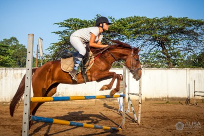 Horse Jumping Competition