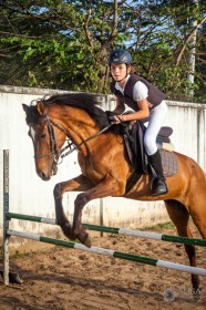 Horse Jumping Competition