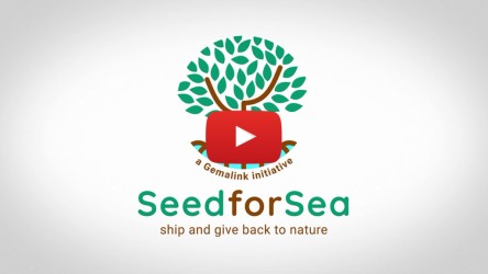 Seed4Sea